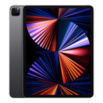 12.9-inch iPad Pro Wi-Fi 256GB - Space Gray