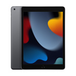 Apple 9th Gen 10.2" iPad Wi-Fi 256GB - Space Gray