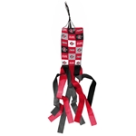 SDSU Aztecs 40" Windsock