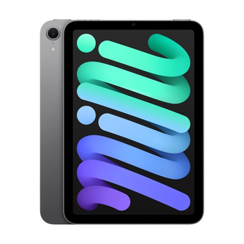 Shop Aztecs - iPad Mini: Wi-Fi, 256GB - Space Gray