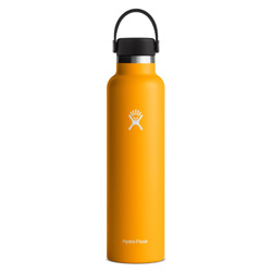 Hydro Flask 24 oz Standard Mouth Bottle- Starfish