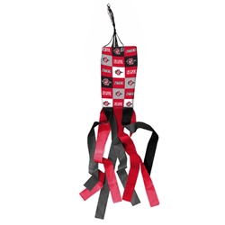 SDSU Aztecs 40" Windsock