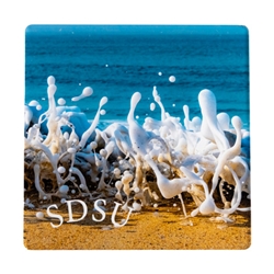 SDSU Coaster "Beach Foam" by Bommarito Art