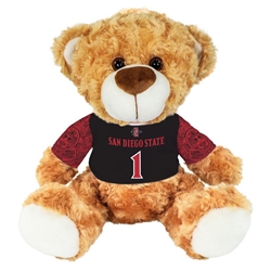 Fred the Bear in a Football Jersey