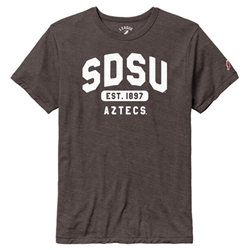 SDSU Aztecs 1897 Victory Falls Tee