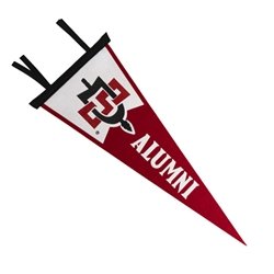 Pennant 9X24 SD Interlock Alumni
